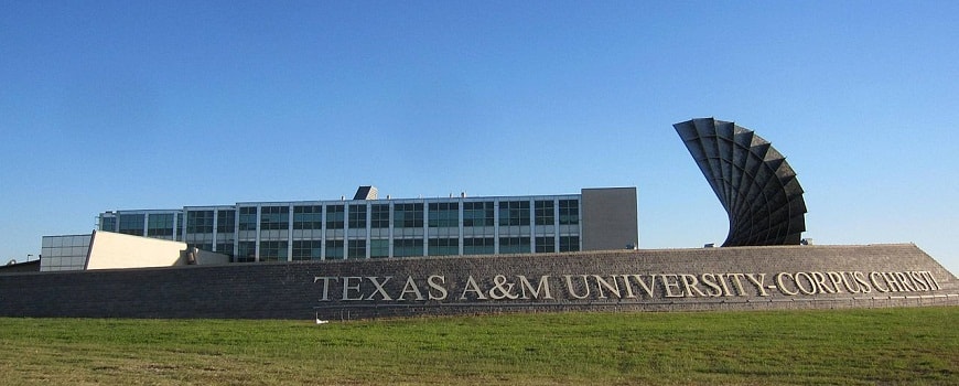 chuyen-phat-nhanh-di-texas-my