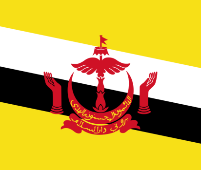 Dịch vụ gửi hàng đi Brunei giá rẻ tại TpHCM