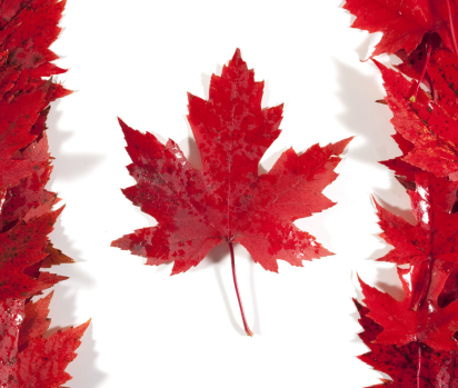 DỊCH VỤ NHẬP HÀNG TỪ CANADA VỀ VIỆT NAM- DỊCH VỤ TIẾT KIỆM