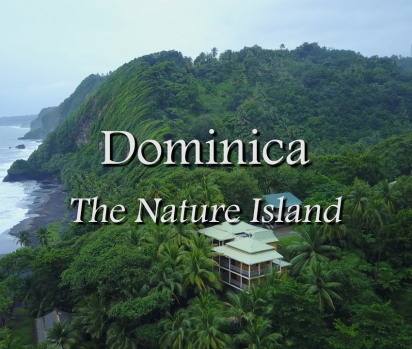 Dịch vụ gửi hàng đi Dominica giá rẻ tại TpHCM